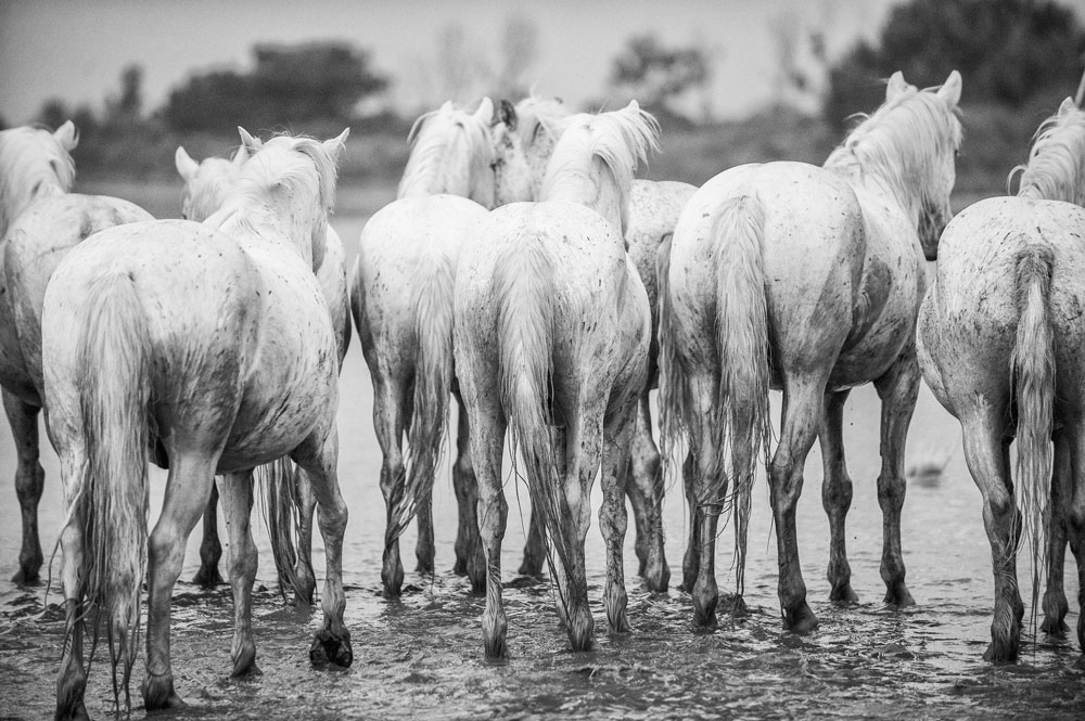 selling photography prints