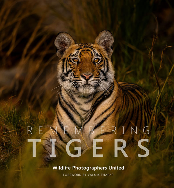 wildlife photography books