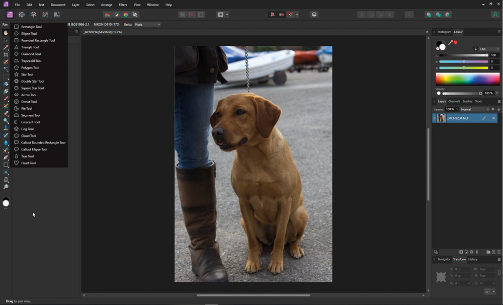 Affinity photo editing