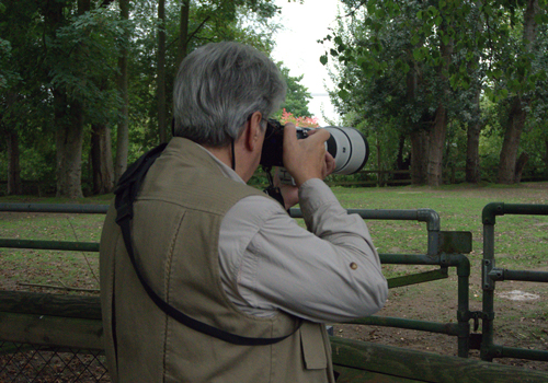 , Zoo Visions with Terry Donnelly – A Wildlife Photography Experience at Chester Zoo