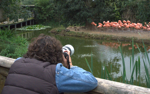 , Zoo Visions with Terry Donnelly – A Wildlife Photography Experience at Chester Zoo