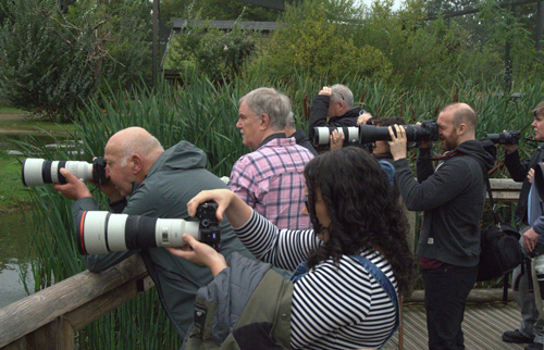 , Zoo Visions with Terry Donnelly – A Wildlife Photography Experience at Chester Zoo