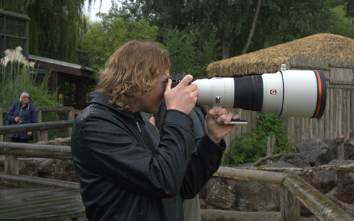 , Zoo Visions with Terry Donnelly – A Wildlife Photography Experience at Chester Zoo