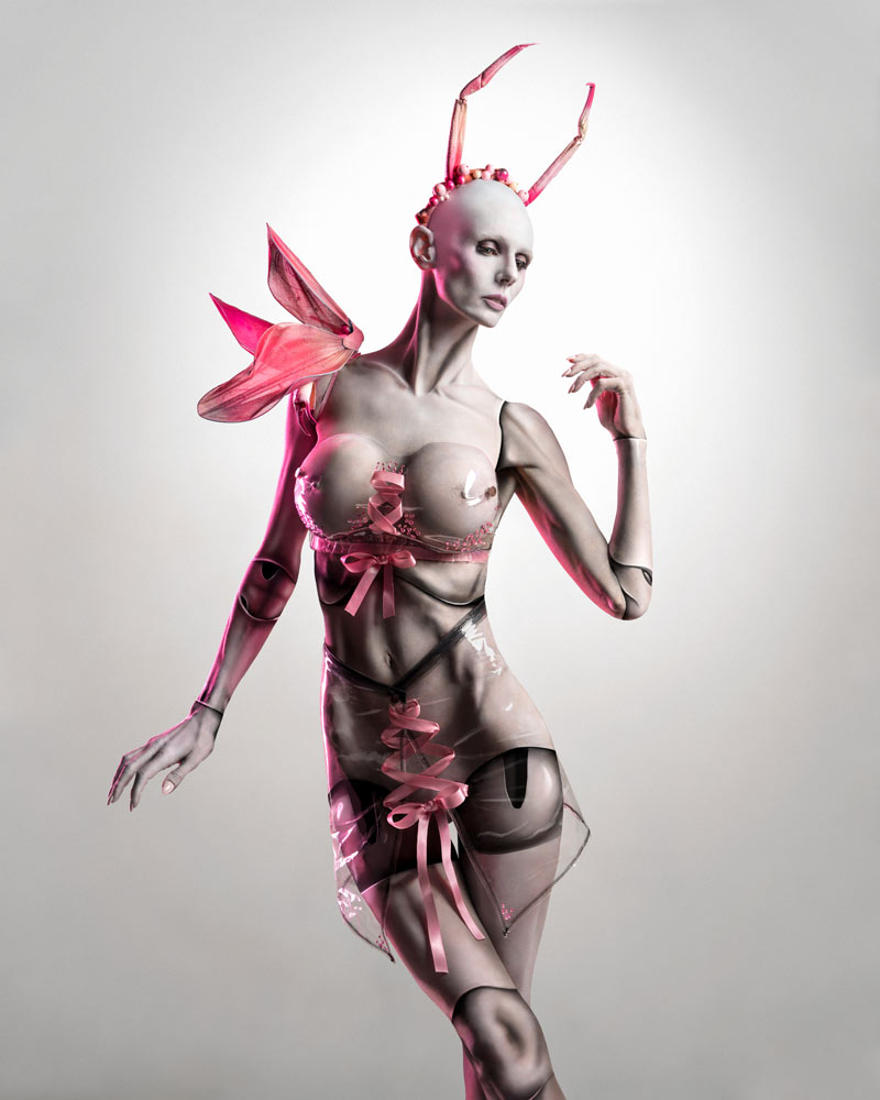 , August 2026 Highly Commended