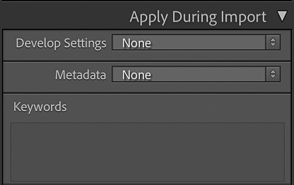 Lightroom Classic backup
