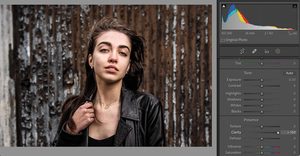 Lightroom histogram explained