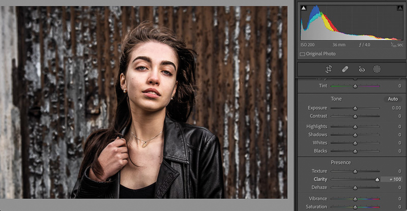 Lightroom histogram explained