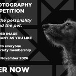 Pet Photography Competition