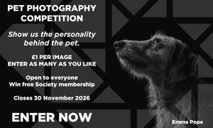 Pet Photography Competition
