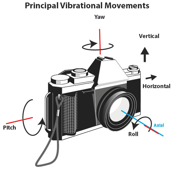 Principal Vibrational Movements
