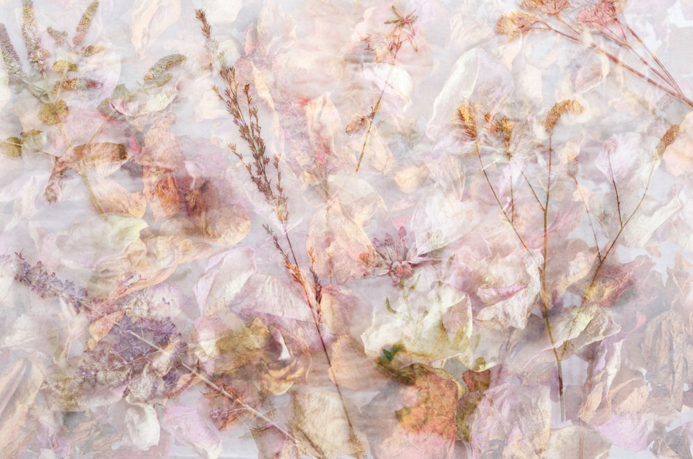 artistic photography