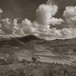 black and white photo toning