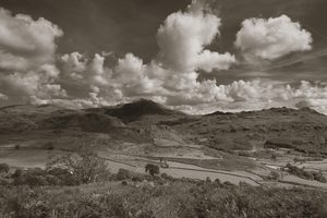 black and white photo toning