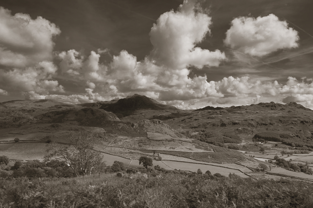 black and white photo toning