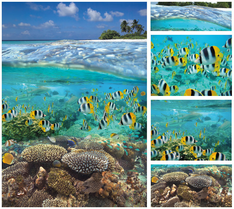 combining original photographs with AI