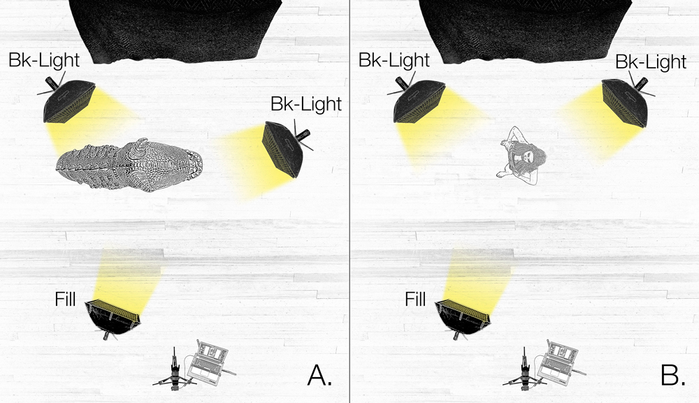 dramatic portrait lighting diagram