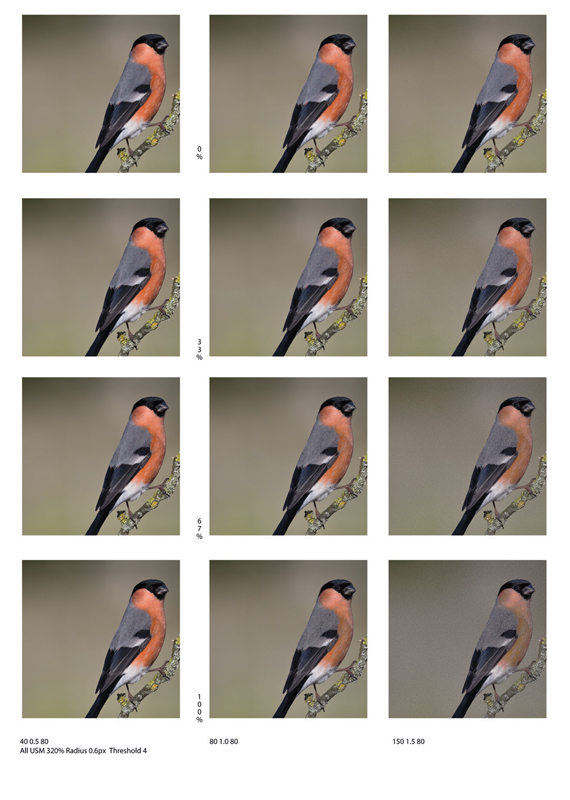 how to fix banding in photos