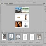 how to organise a photography archive