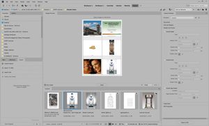 how to organise a photography archive