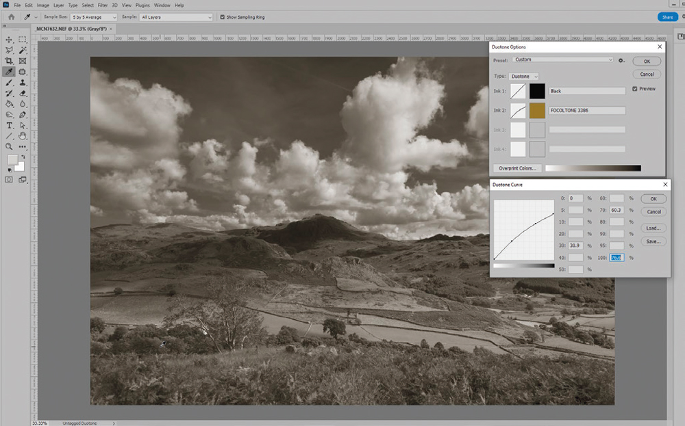 how to tone black and white photos