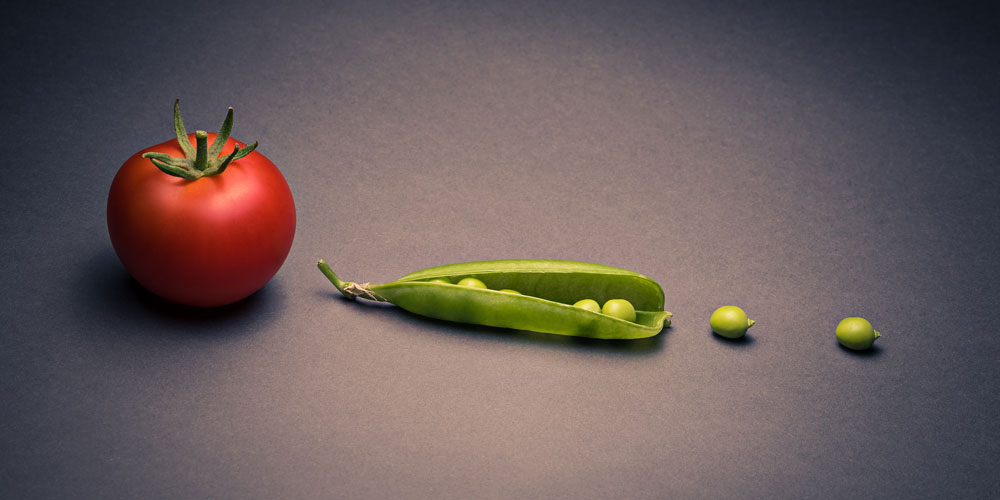 minimalist photography ideas
