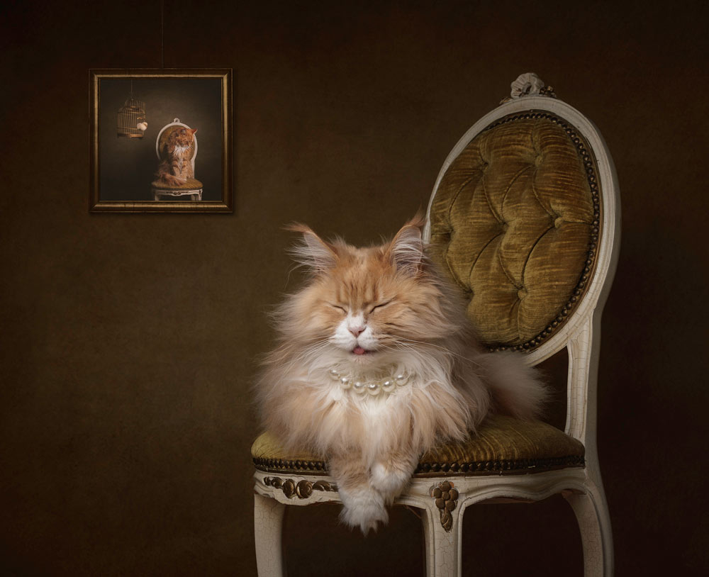 , August 2026 Highly Commended