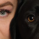 photographing dogs with flash