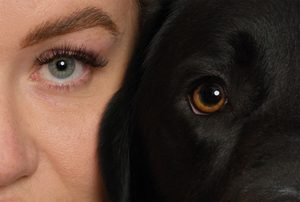 photographing dogs with flash