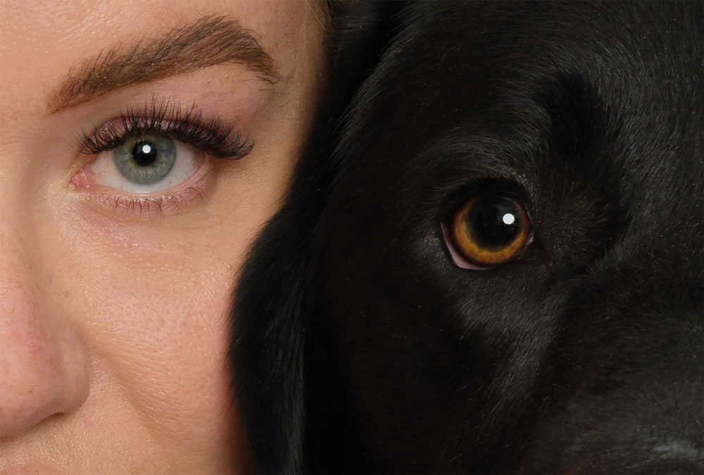 photographing dogs with flash