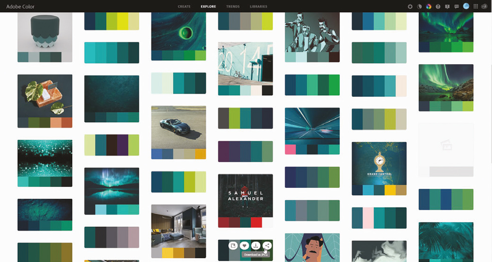 photography brand identity