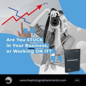 photography business goals