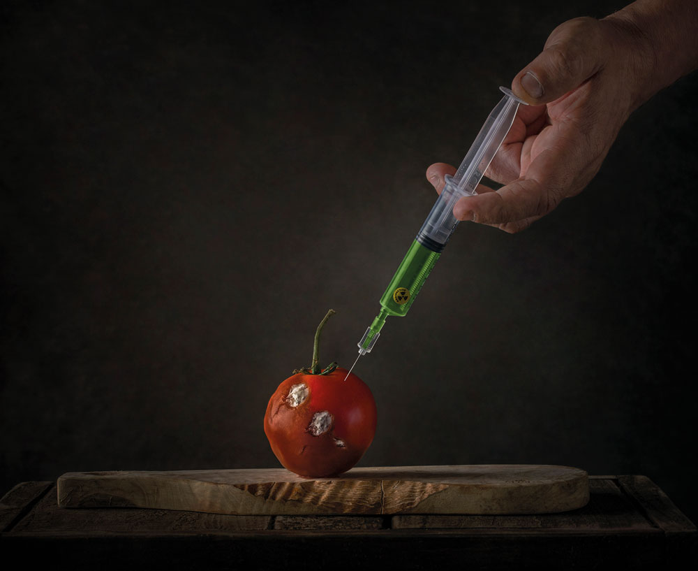 photography competitions