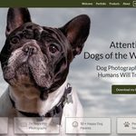 photography website SEO