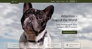 photography website SEO