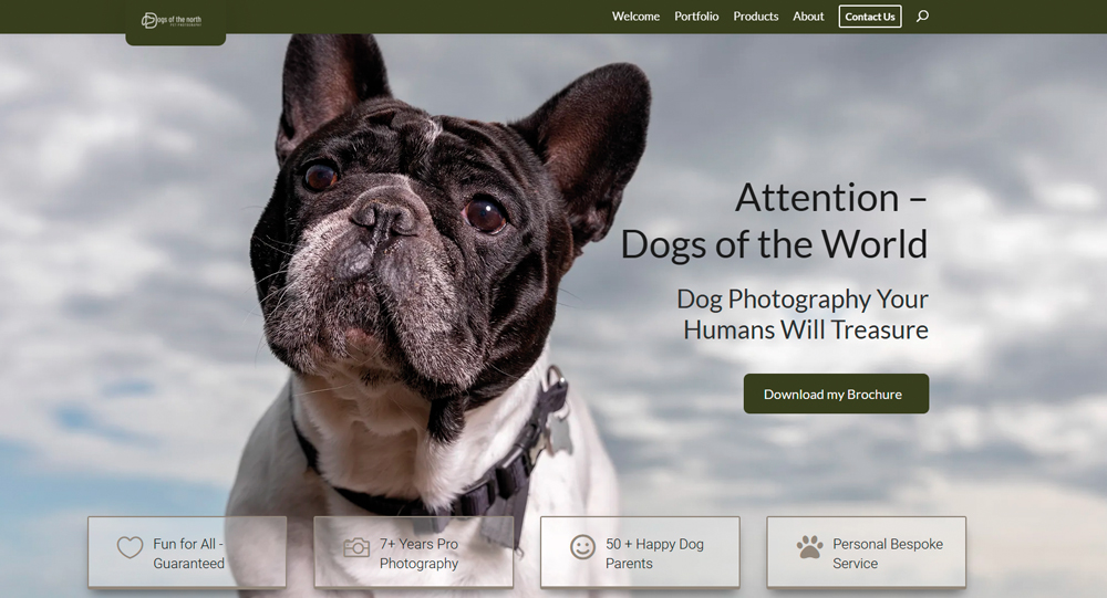 photography website SEO