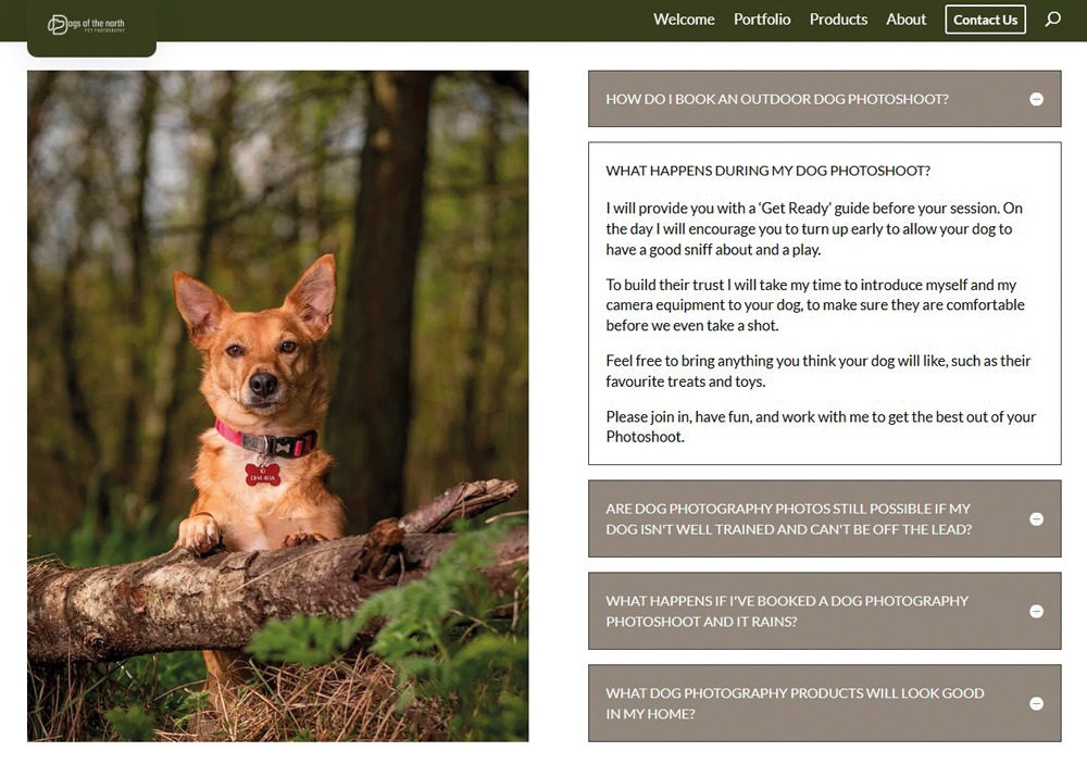 photography website conversion