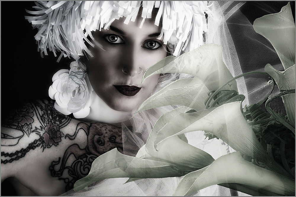 photography without clients