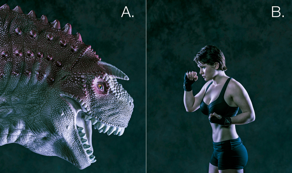 portrait backlighting techniques