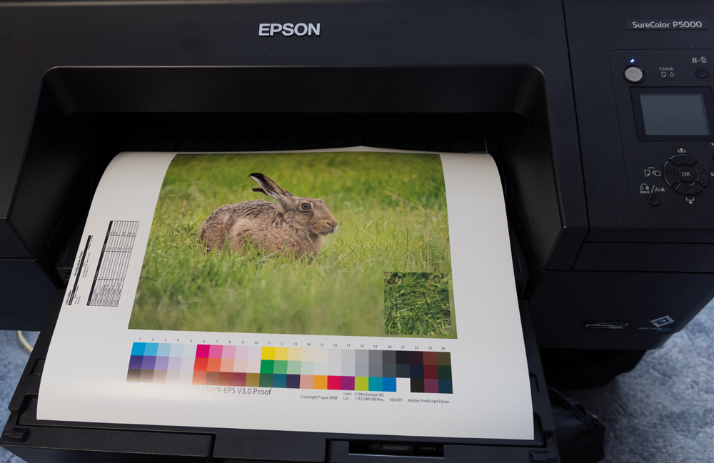 printer colour calibration