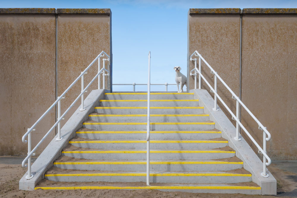 , September 2026 Highly Commended